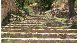 中小企業が人事制度を導入する前に確認した方が良いこと　— 現在の人事制度の現状分析のすすめ②　等級制度の現状分析 —