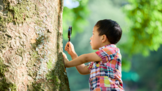 自社での活躍を考えてもらう研修は、キャリアデザイン研修ではなく「自社再発見研修」